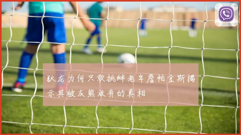 狄龙为何只敢挑衅老年詹帕金斯揭示其被灰熊放弃的真相