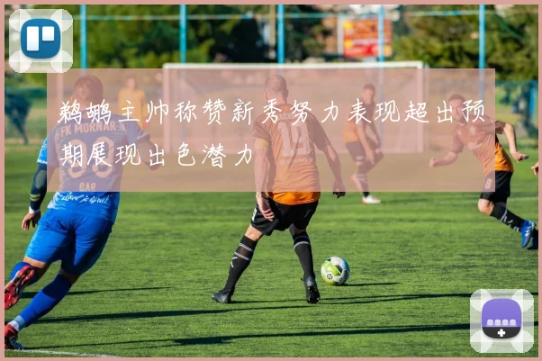 鹈鹕主帅称赞新秀努力表现超出预期展现出色潜力